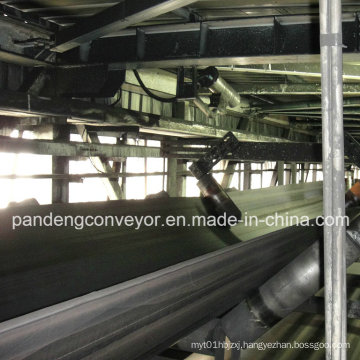 Chemical Resistant Conveyor Belt 3100s/PVC Conveyor Belting